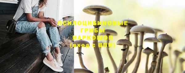 круглые Аркадак