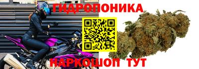 метадон Аргун