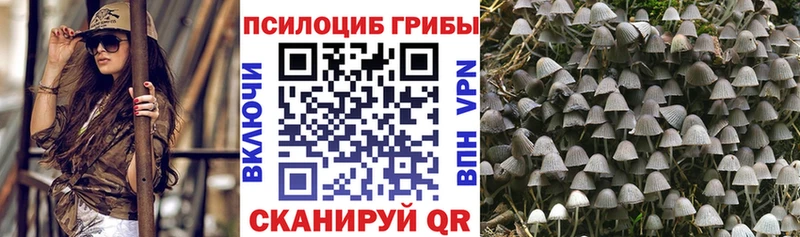 Галлюциногенные грибы Psilocybine cubensis  Аша 